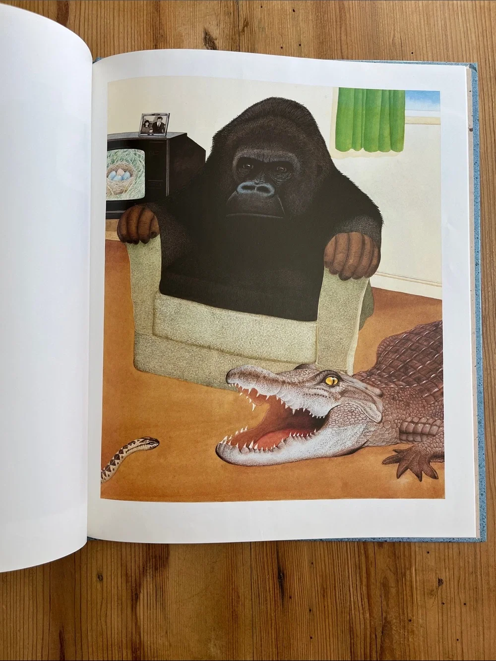 Anthony Browne HC Book 